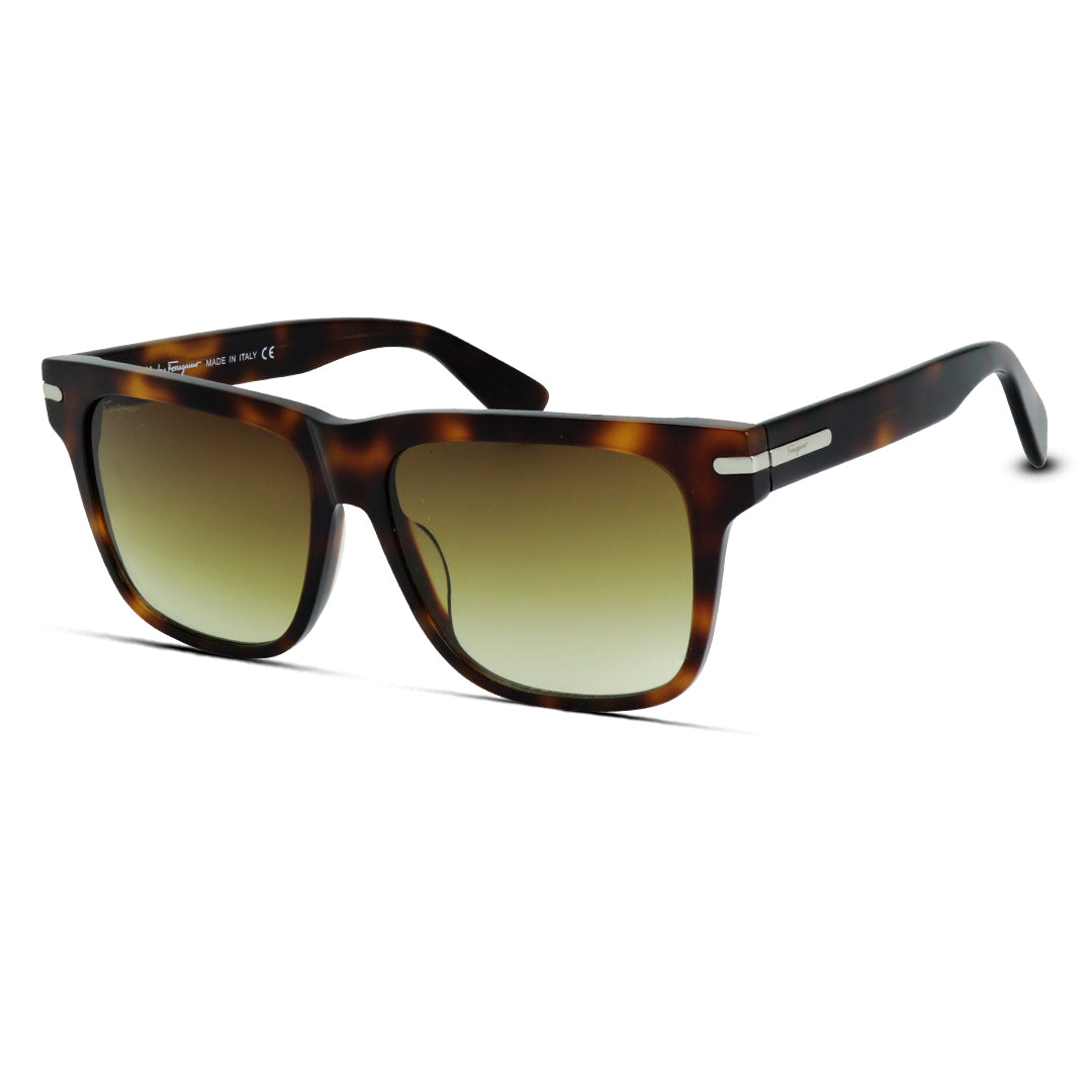 Wayfarer Acetate Large Unisex Sunglasses